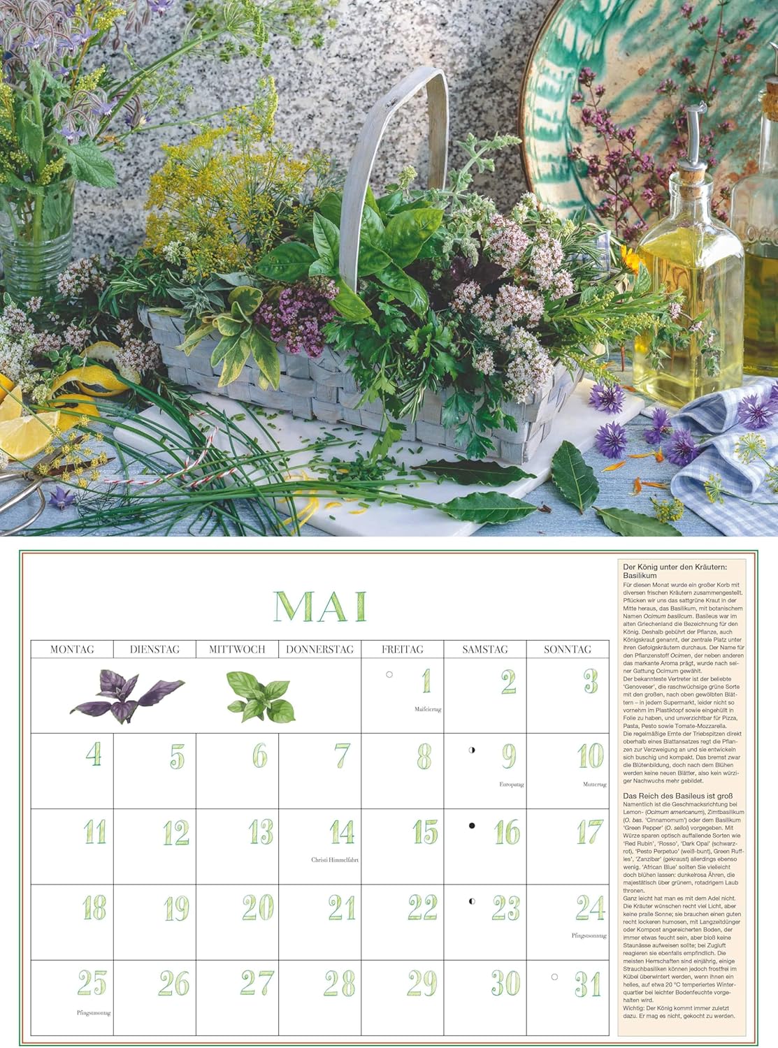 Thumbnail 3 de DUMONTS Aromatische Kräuter 2026 – Broschürenkalender 42 x 29 cm mit Rezepten, Texten & Farbfotografie für Kräuter- und Kochliebhaber
