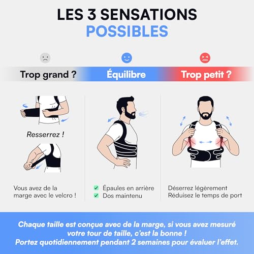 Thumbnail 8 de POSTURALIS Correcteur de Posture – Ceinture Dorsale/Lombaire avec 2 Supports d'Épaules (M)