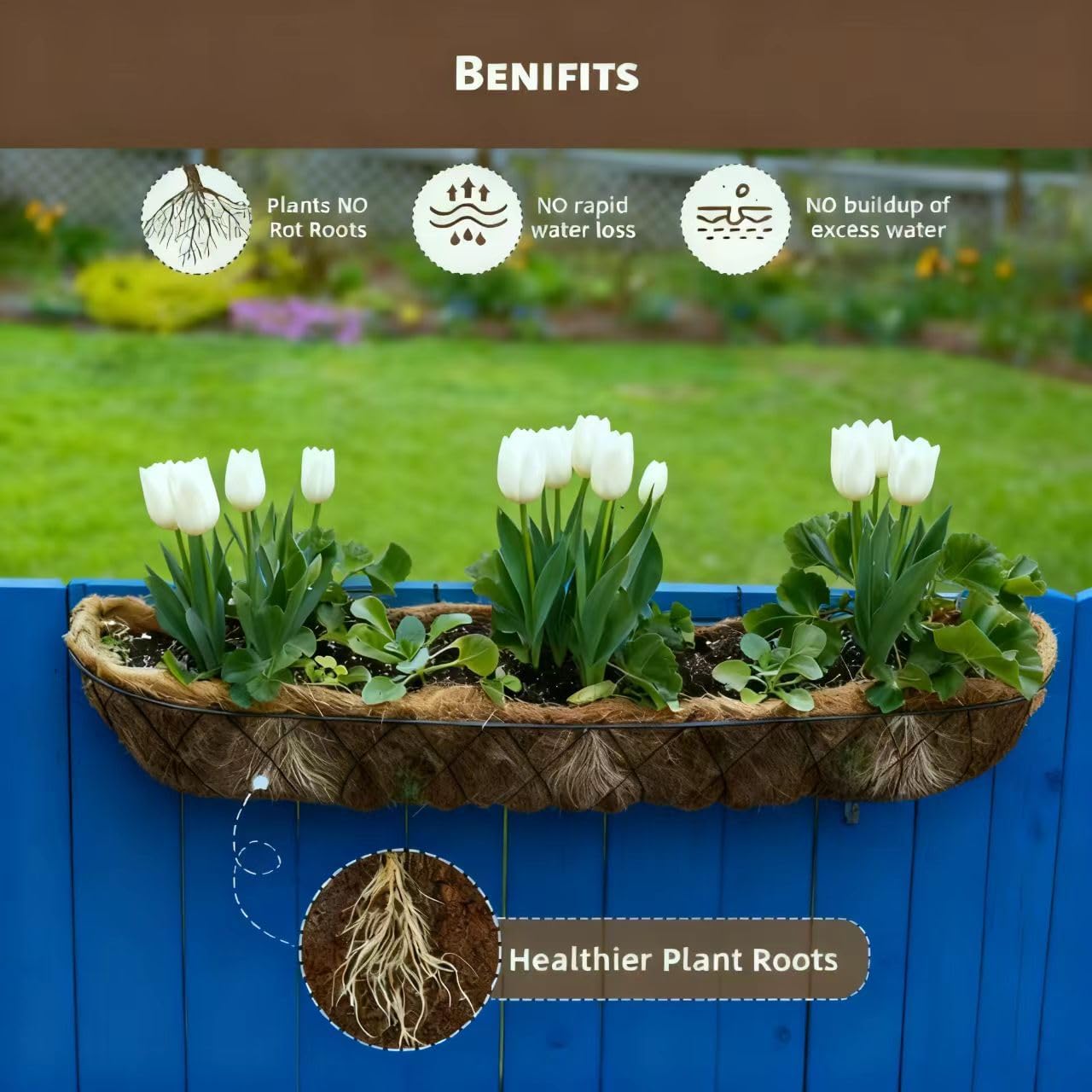 Thumbnail 6 de ApexTide Coco Liner Hanging Basket 35×17.5cm