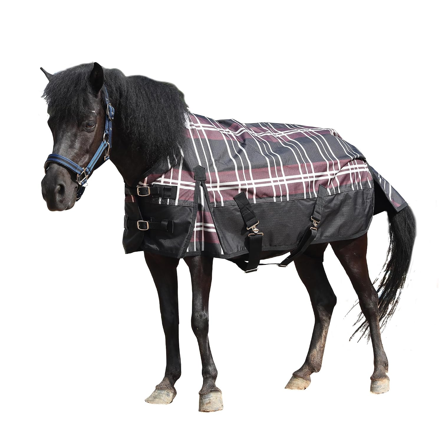 600D No Fill Waterproof Turnout Rug for Shetland Pony, 3'3" (Red Plaid) – Practical Protection for Miniature Horses