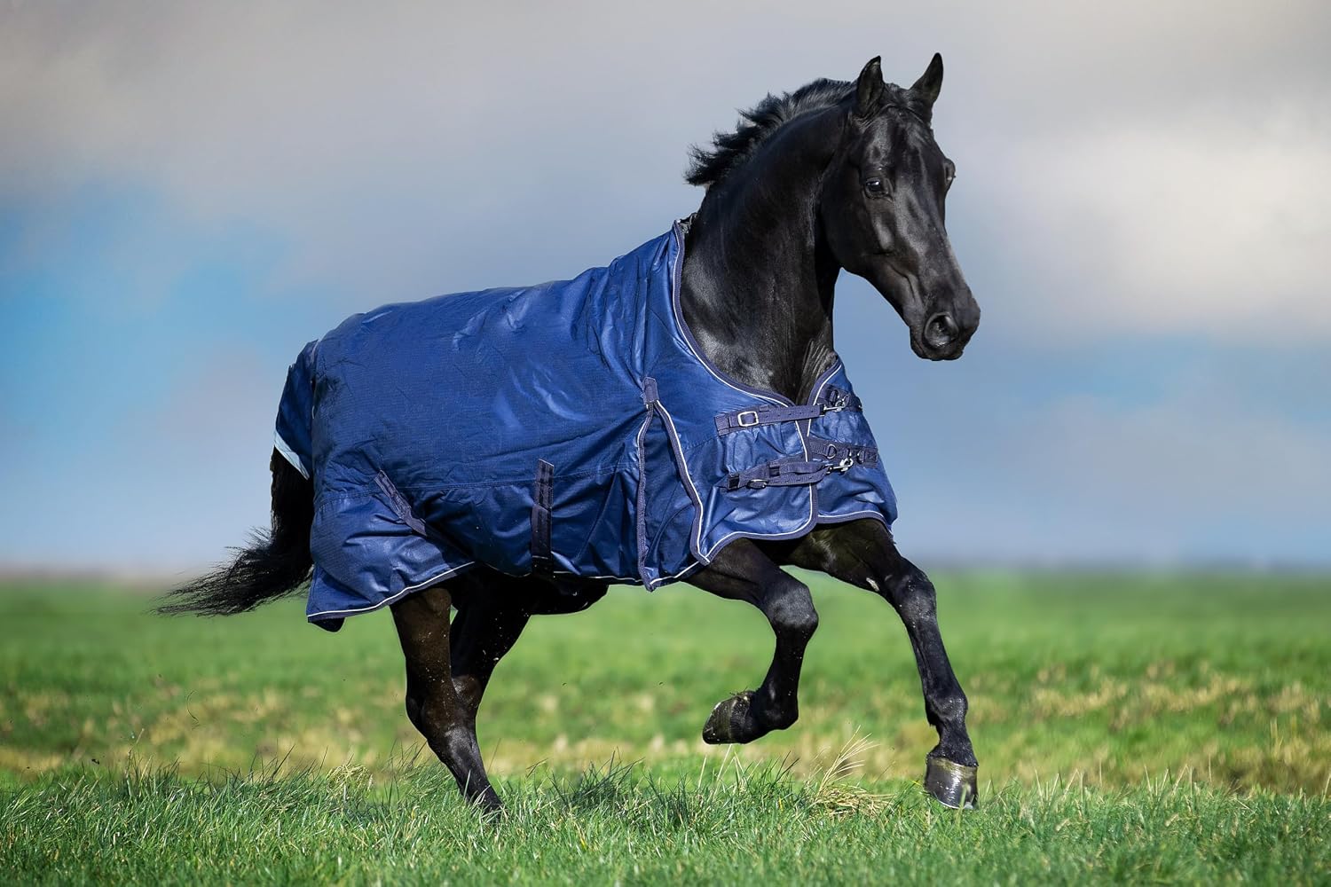 Detalle de Imperial Riding Outdoordecke IRH Super-Dry 200gr, Navy, 135