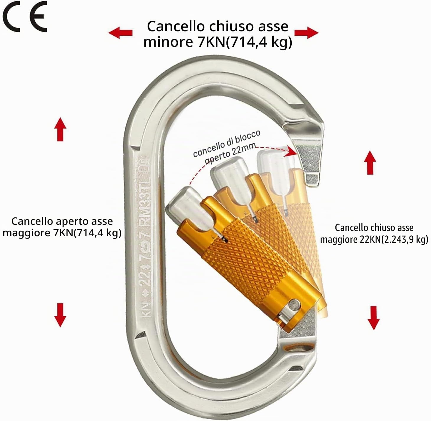 Detalle de SOB Moschettone Arrampicata Ganci per Impieghi Gravosi con Porta a Vite – 2 pezzi