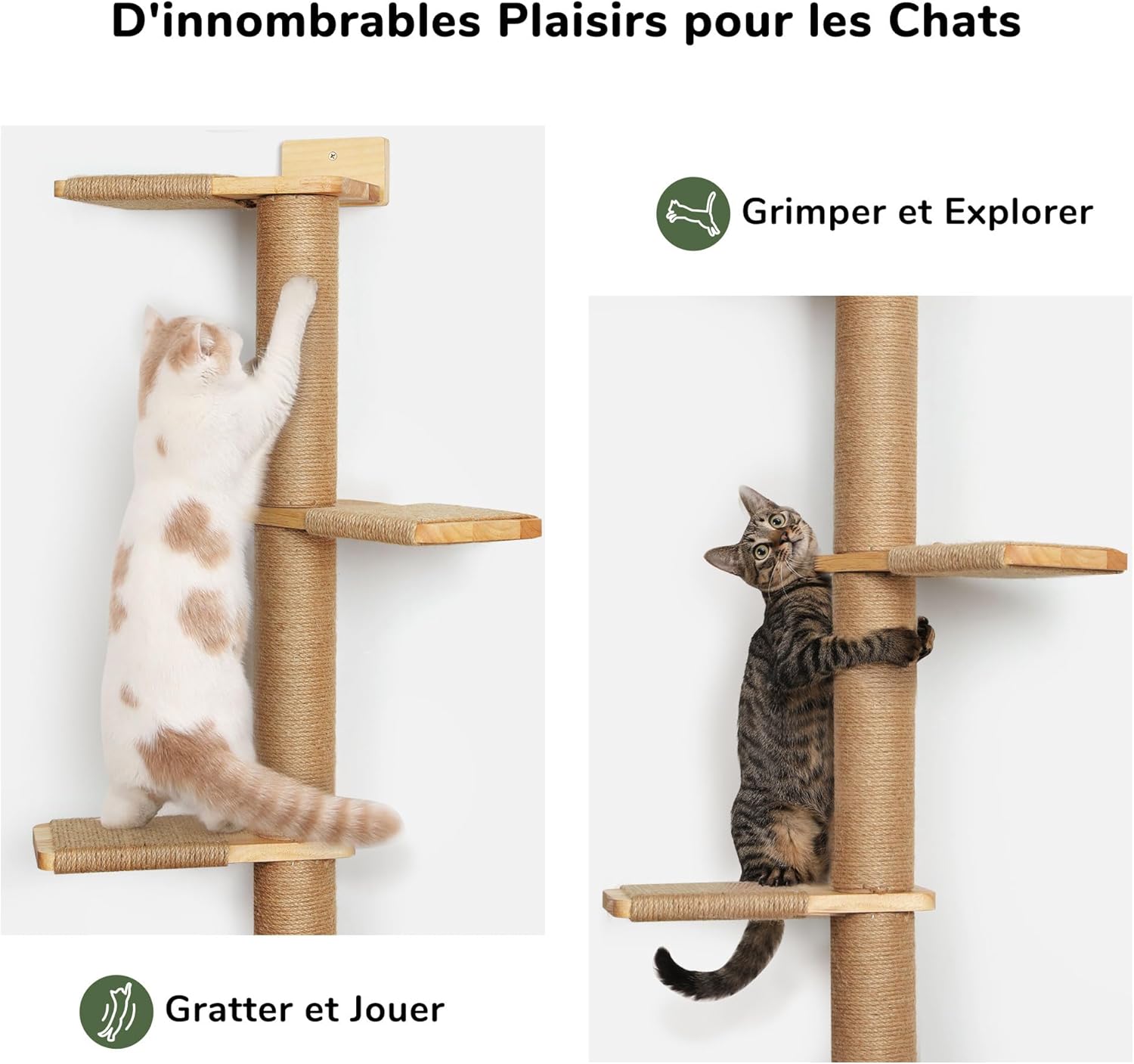 Thumbnail 4 de FUKUMARU Arbres à Chat mural Wall Jungle 205,7 cm : 5 étages, griffoir rotatif et plateformes pivotantes