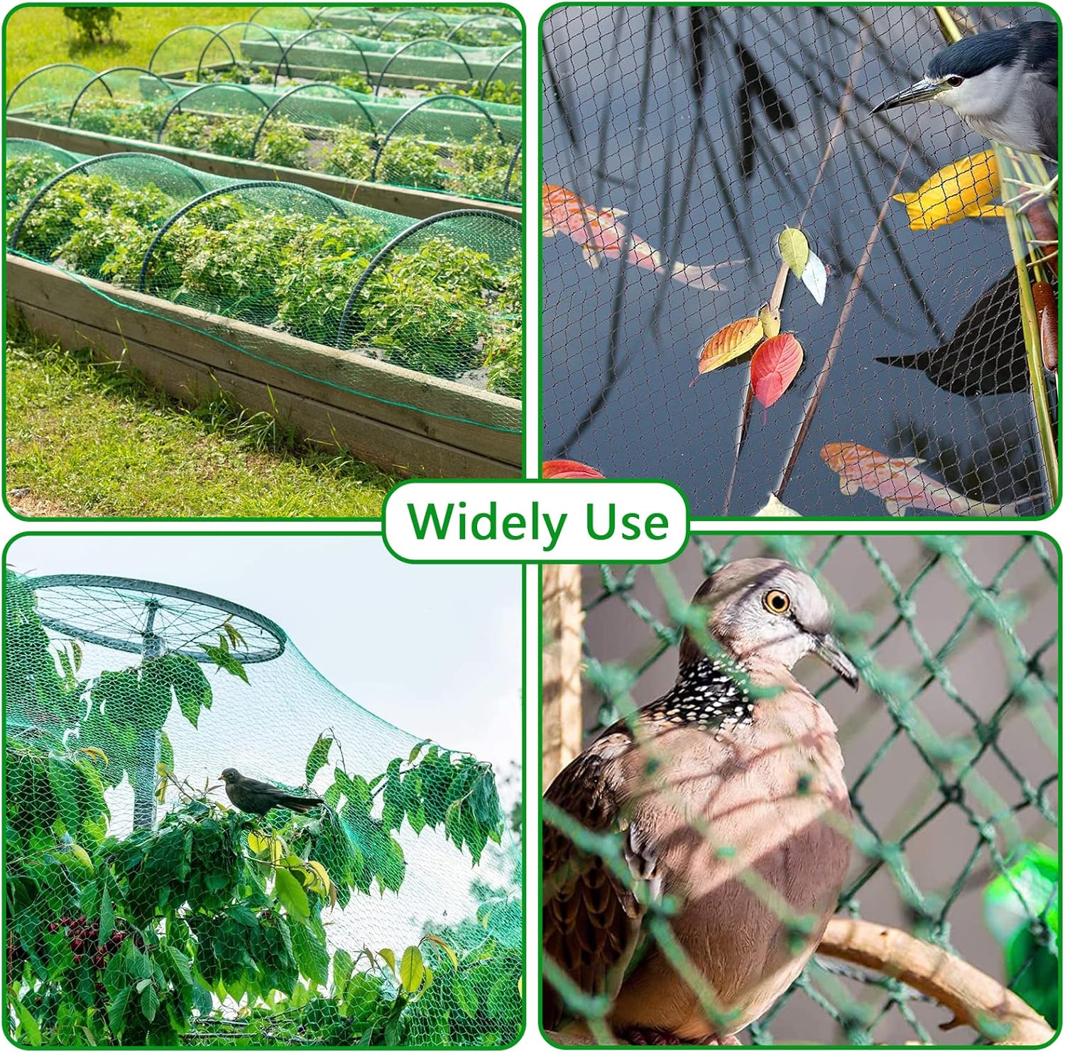 Detalle 2 de MAYADUO Garden Netting for Plants, Fruit & Veg Patch – 4x12M Green Anti-Bird Netting Kit