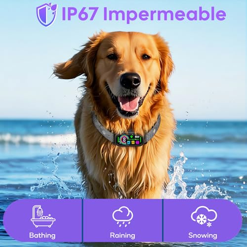 Detalle de LYtech Collar Antiladridos para Perros | 4 Modos de Adiestramiento, Impermeable IP67 y Carga Rápida
