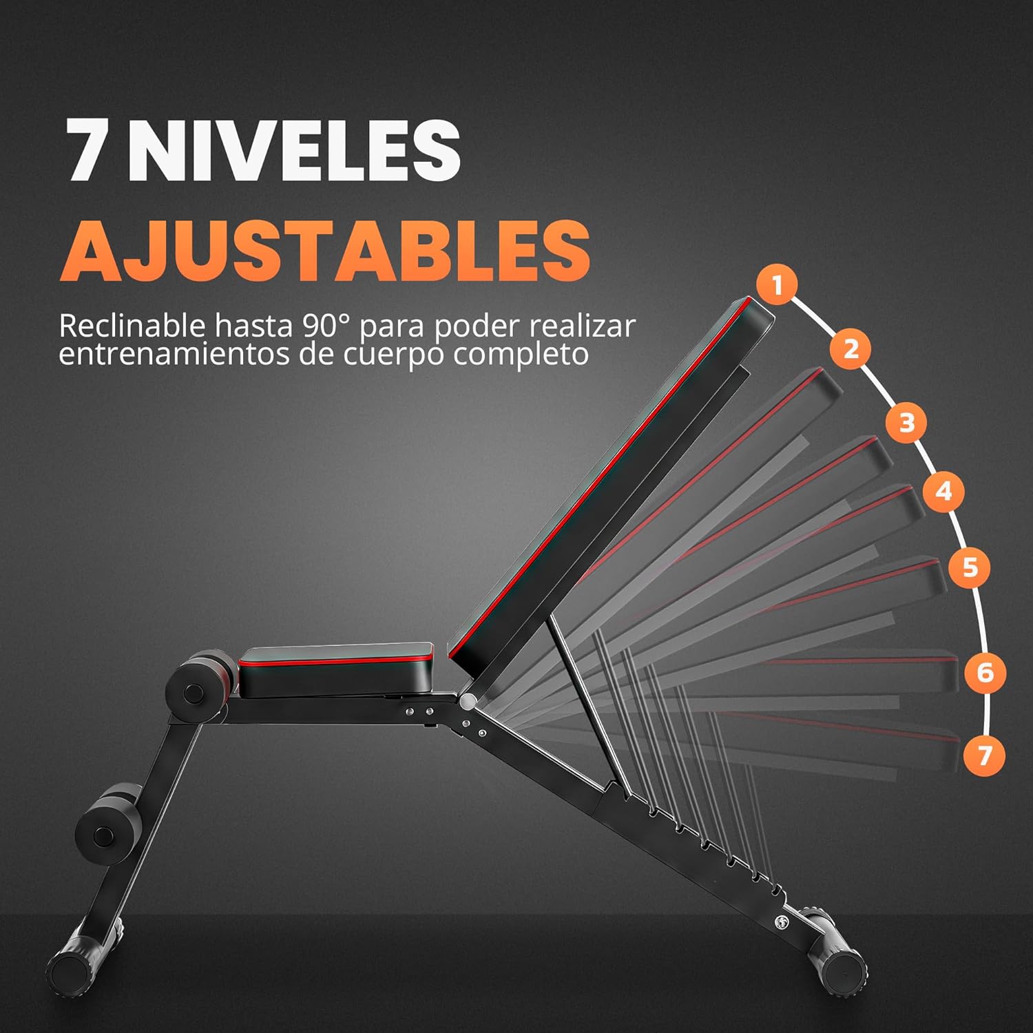 Thumbnail 2 de JUPPLIES Banco de musculación 250 kg