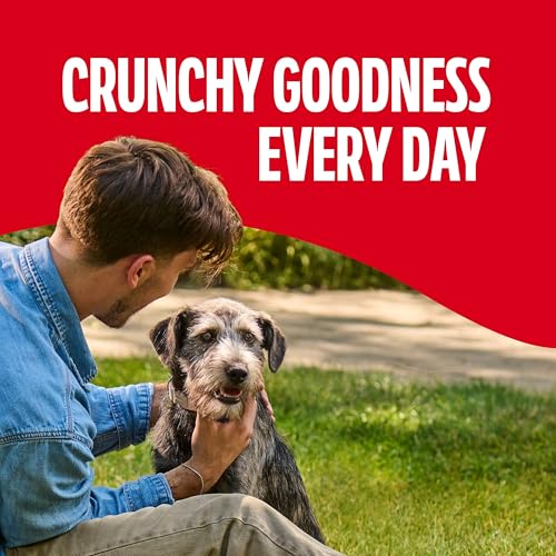 Thumbnail 5 de Milk-Bone Original Medium Dog Biscuits, 10 lb Box