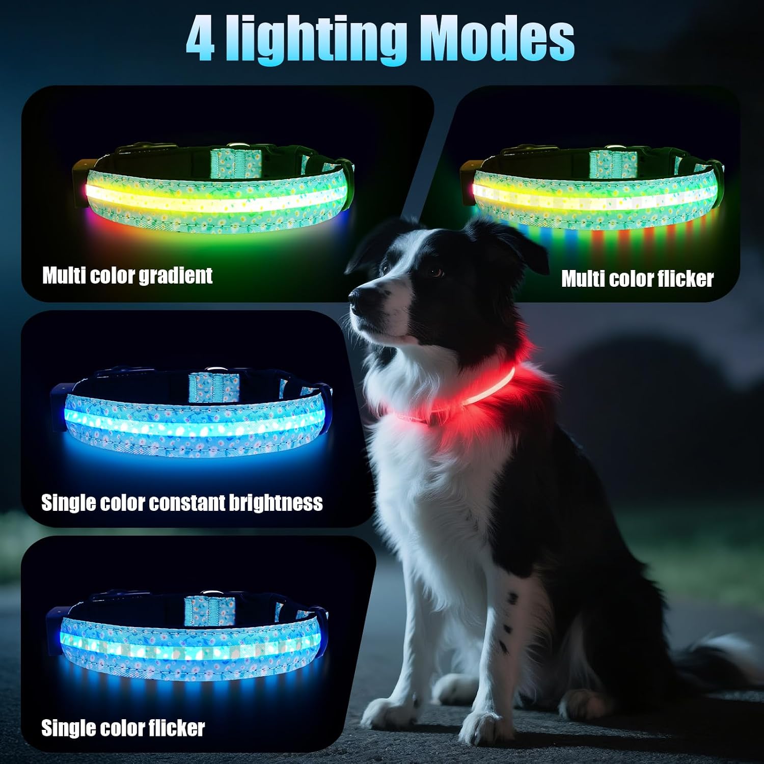 Detalle 2 de Zowpet LED Dog Collar, XL