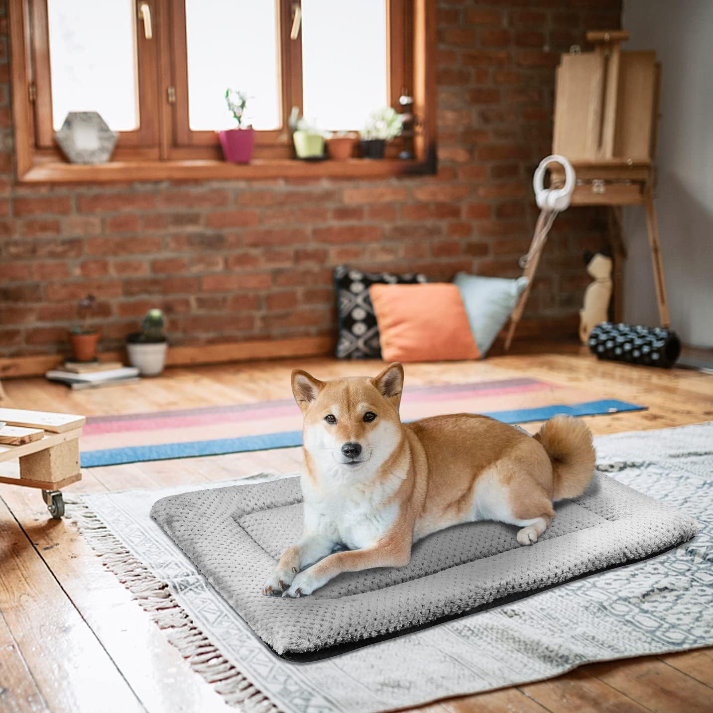 Thumbnail 6 de ASIJIA Dog Bed Mat 90 x 58 cm – washable pet bed