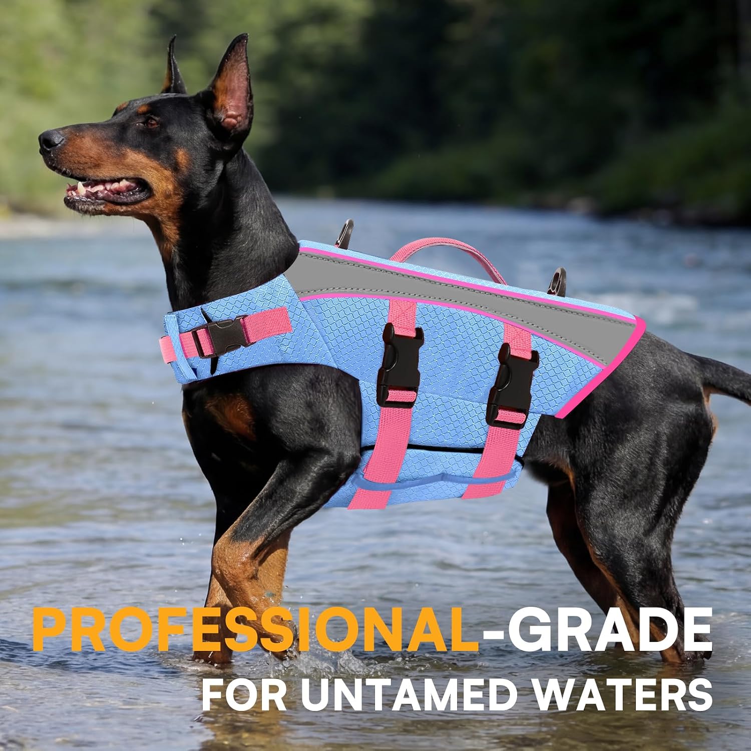 Detalle 2 de Queenmore Dog Life Jacket, XS