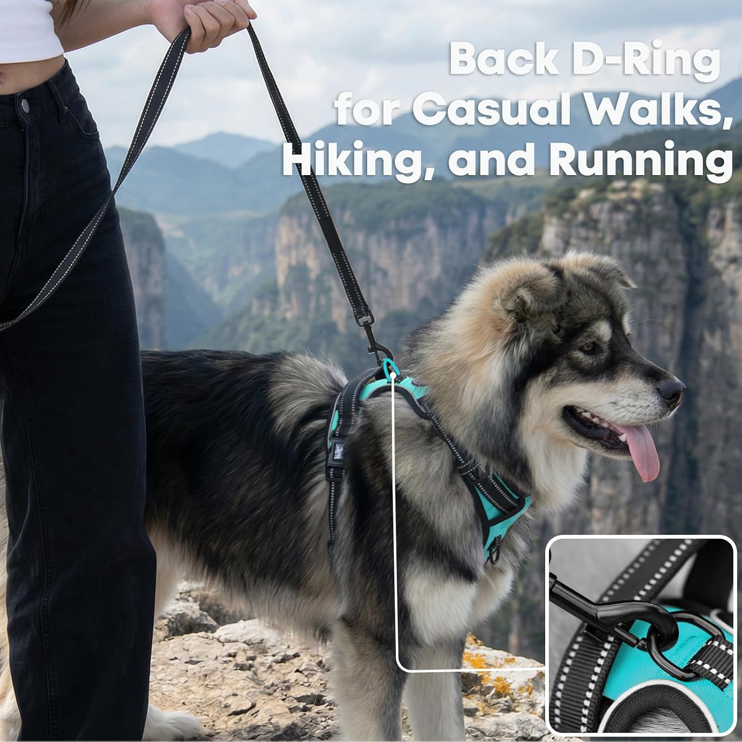 Detalle 2 de PoyPet No Pull Dog Harness (Reflective Vest) with 2 Leash Attachments and Easy Control Handle, Size S