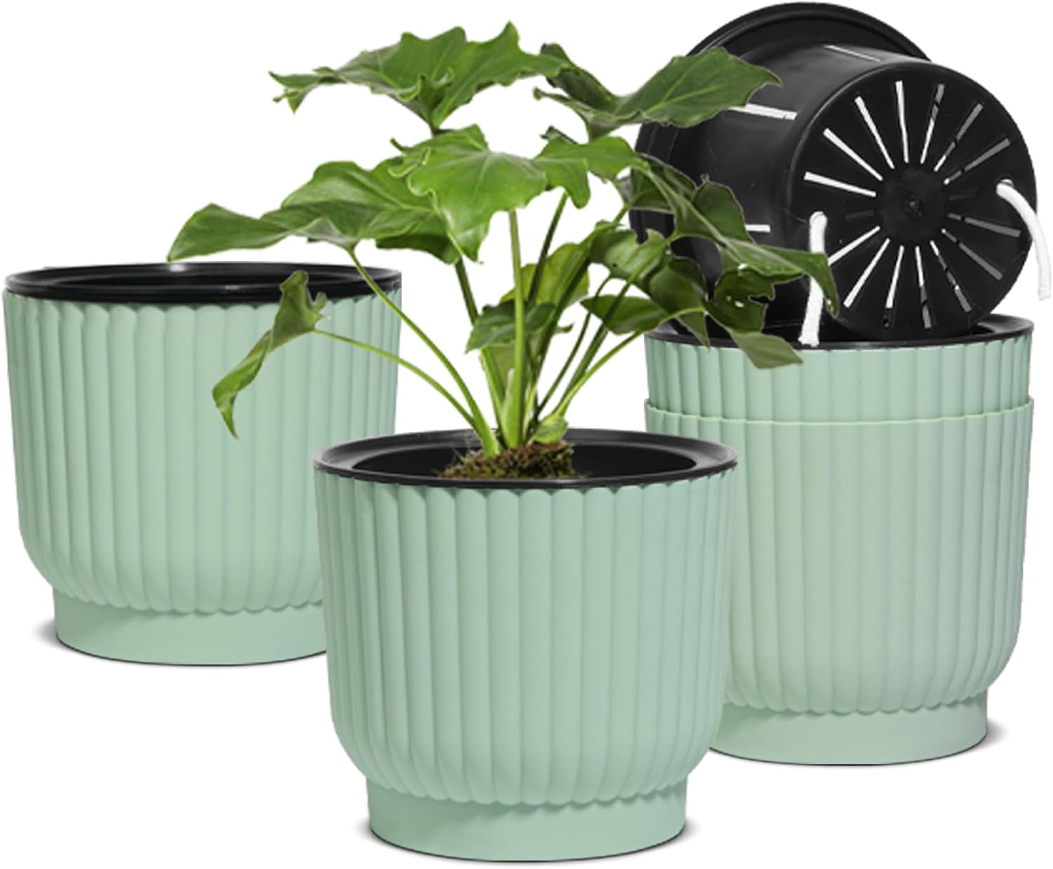 Detalle de T4U 18cm self-watering plant pots (4 pack) – indoor and outdoor planters for succulents, cacti and houseplants