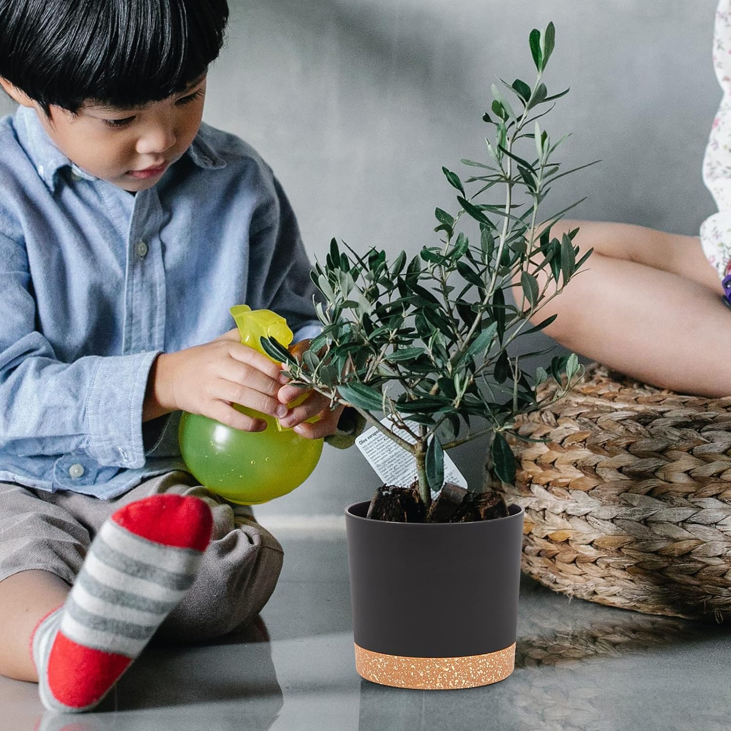 Thumbnail 5 de QCQHDU 25.4cm plant pots, 2 pack