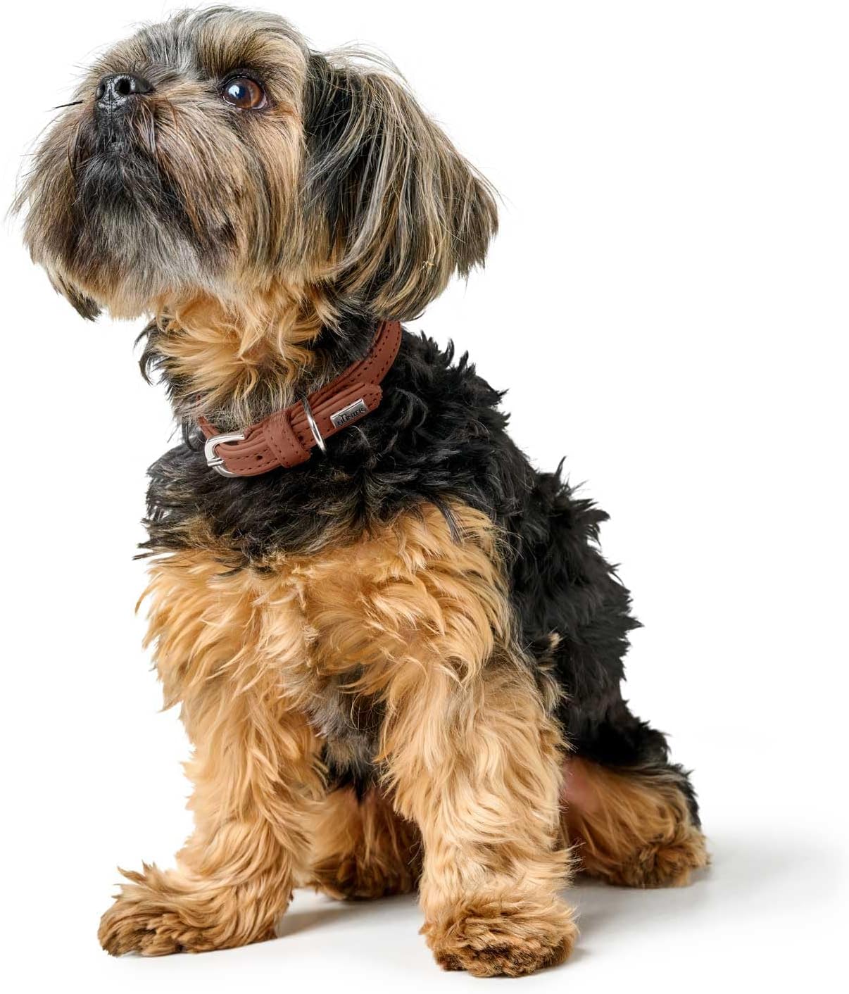 Detalle 2 de Hunter Hundehalsband SOHO MINI Cognac