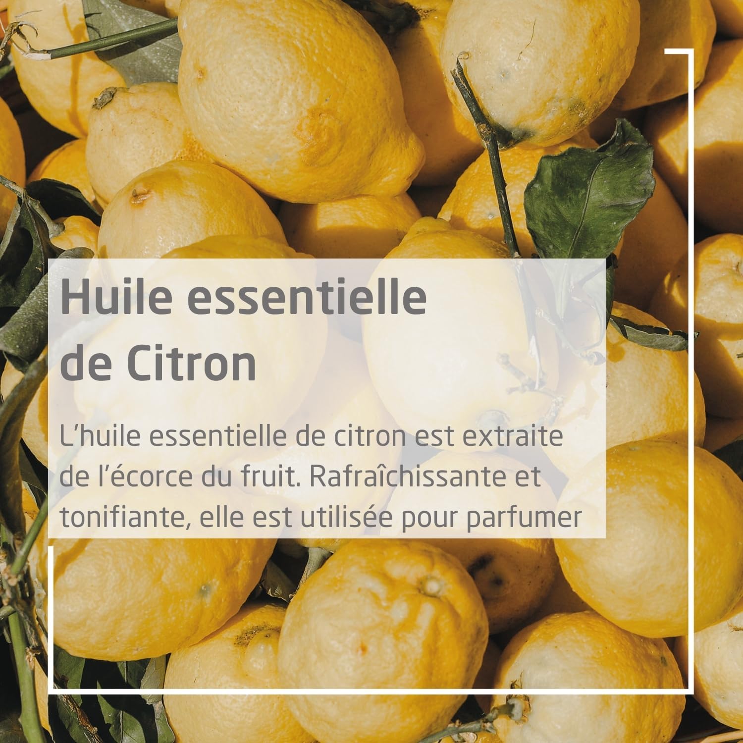 Thumbnail 2 de WELEDA Déodorant Citrus spray 100 ml