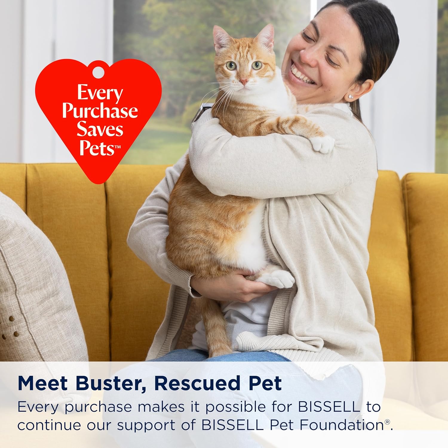 Detalle 2 de Bissell Little Green ProHeat Pet 48.9°C
