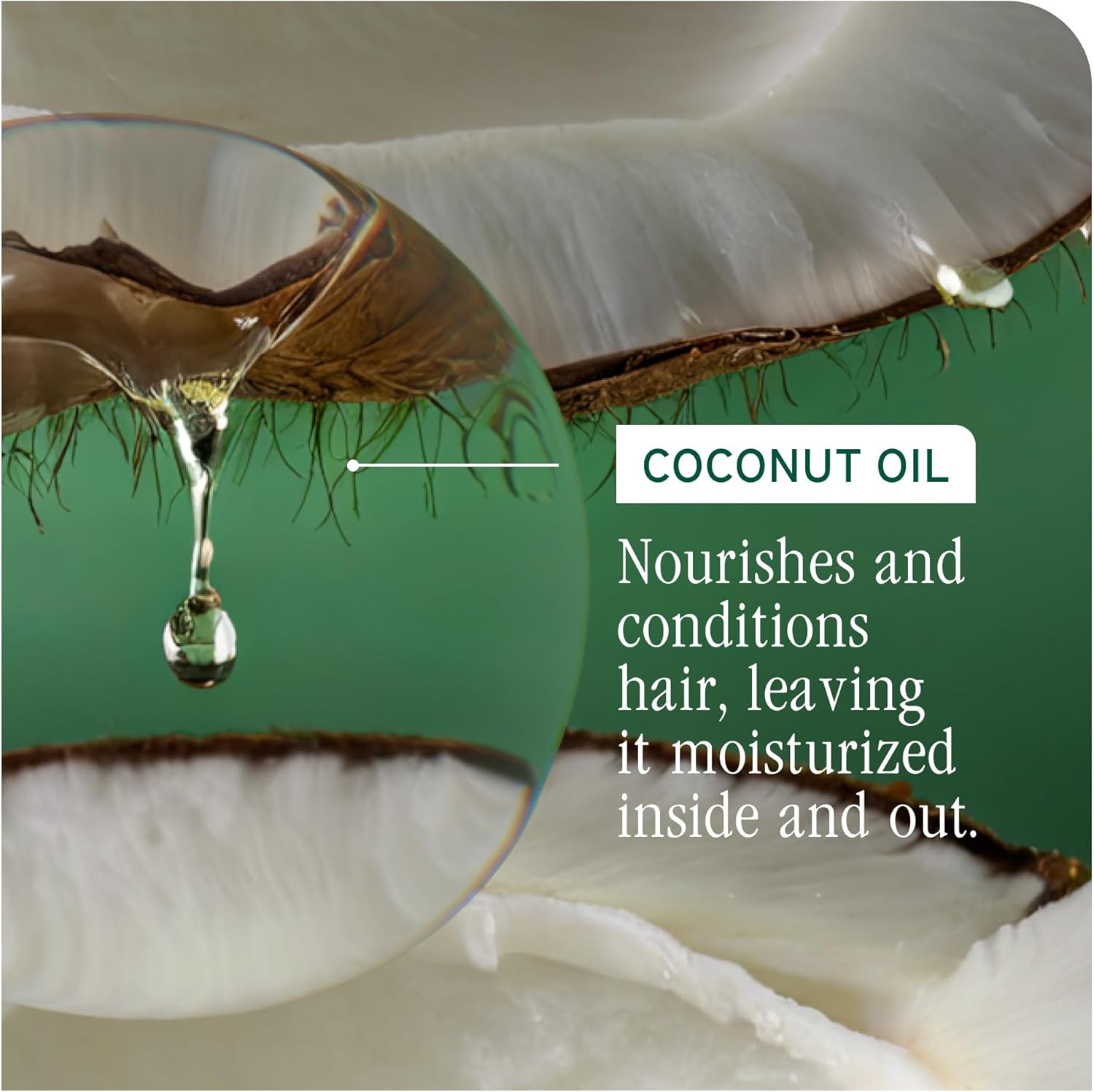 Thumbnail 3 de Biolage All-In-One Multi-Benefit Spray with Coconut Oil (250ml) for all hair types