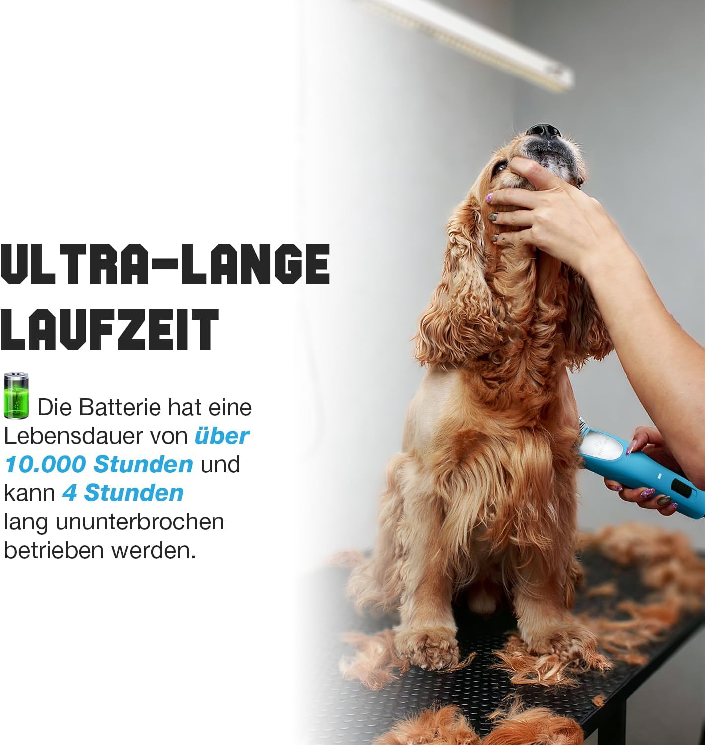 Thumbnail 3 de FuzzyFix tondeuse professionnelle pour chien : kit de toilettage 14 en 1, moteur sans balais et lames en acier inoxydable