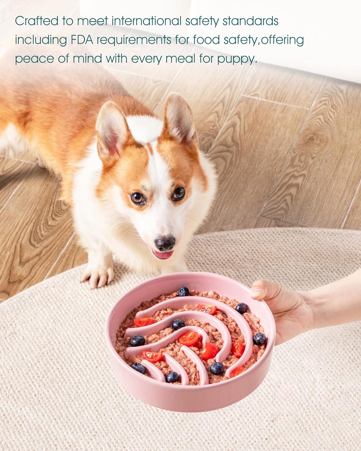 Thumbnail 5 de Vancasso Slow Feeder Ceramic Bowl for Small Pets (1.5 Cup) – Pink