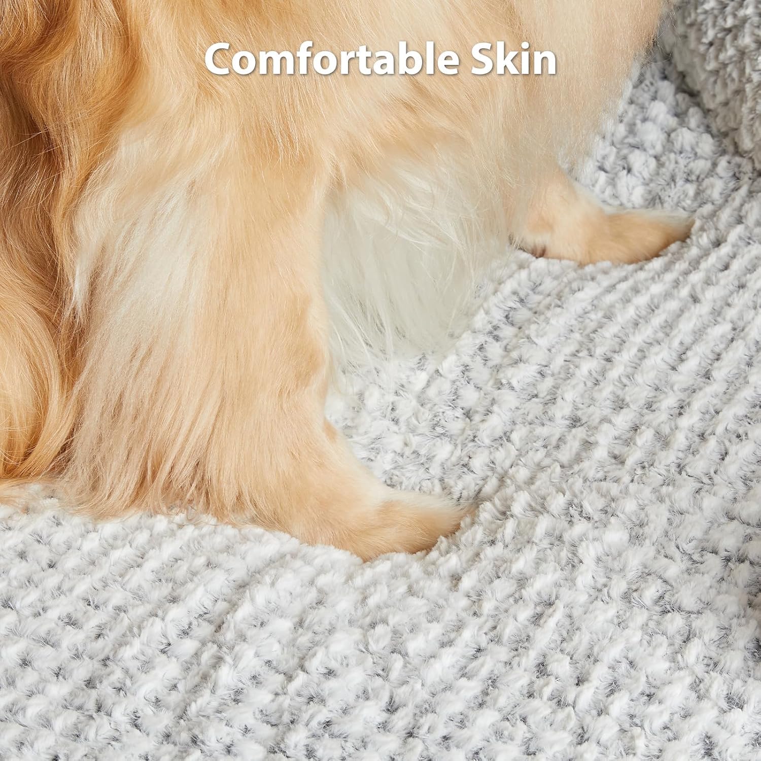 Detalle 2 de Quilmfoam Orthopedic Dog Bed 19cm