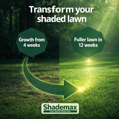 Detalle de Shademax – Grass Seeds for Shady Areas (1kg) by EFA International