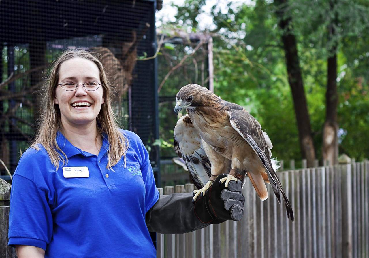 Thumbnail 4 de RAPICCA bite proof animal handling gloves (22in/56cm) with reinforced leather padding