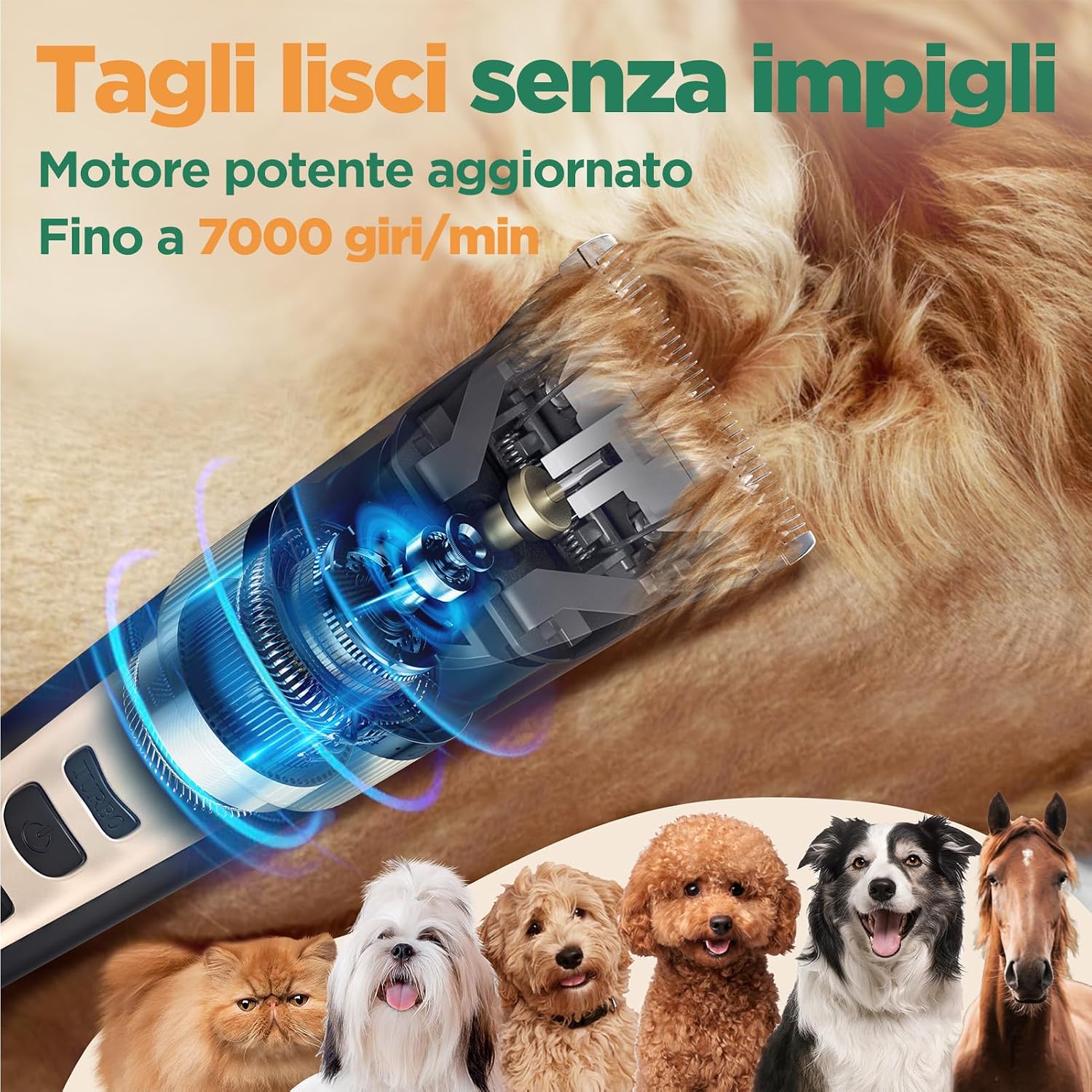 Thumbnail 2 de Gimars 4-in-1 Tosatrice Silenziosa per Cani Professionale – Kit di Toelettatura Tutto-in-uno