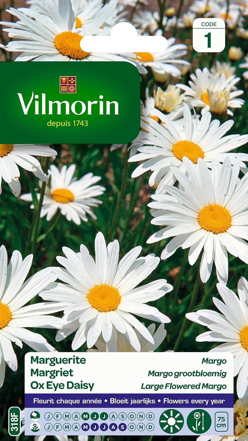 Detalle de Vilmorin 5217241 groot madeliefje voor buiten, wit en geschikt voor volle zon