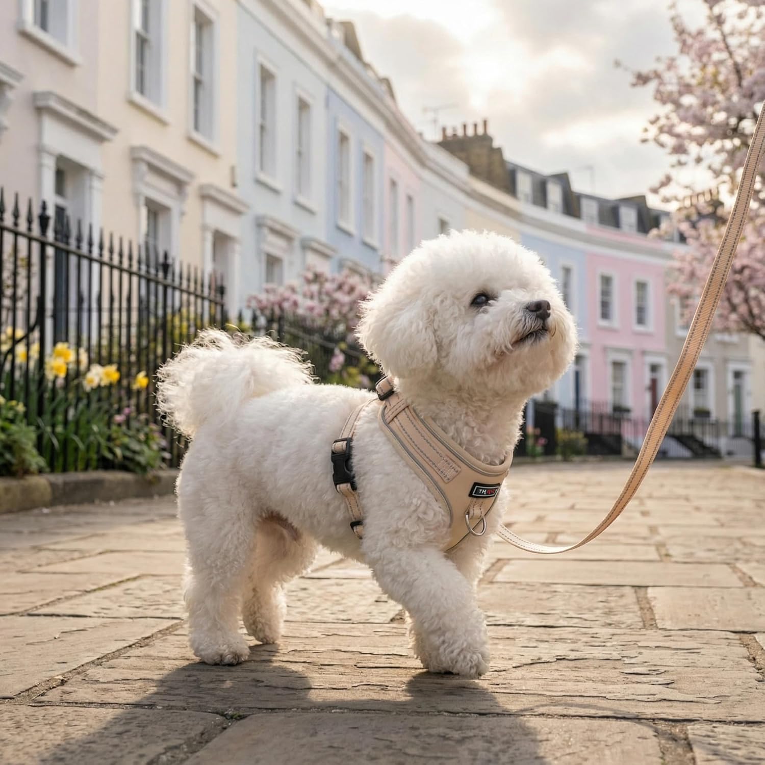 Thumbnail 4 de THAIN Reflective Dog Harness & Leash Set – No-Pull Design, Large (L), Beige
