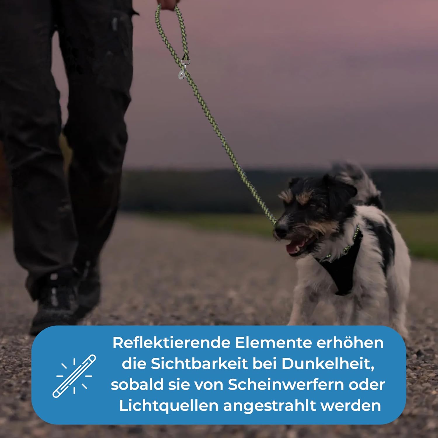 Detalle de Golden Pets Testnote: Sehr gut - Hundeleine reflektierend I 2m, verstellbar, wetterfest & reißfest bis 250 kg
