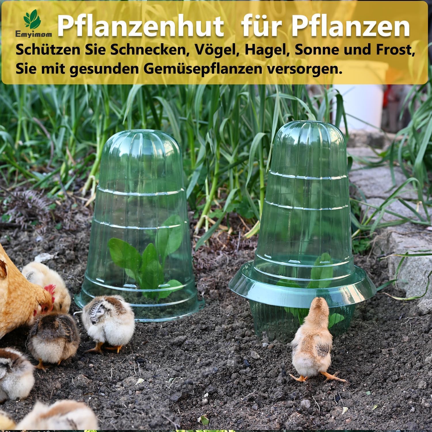 Thumbnail 6 de Emyimom Pflanzenhut (Pflanzhütchen) für Salatpflanzen – Schutz vor Vögeln, Schnecken und Wetter, 10er-Set