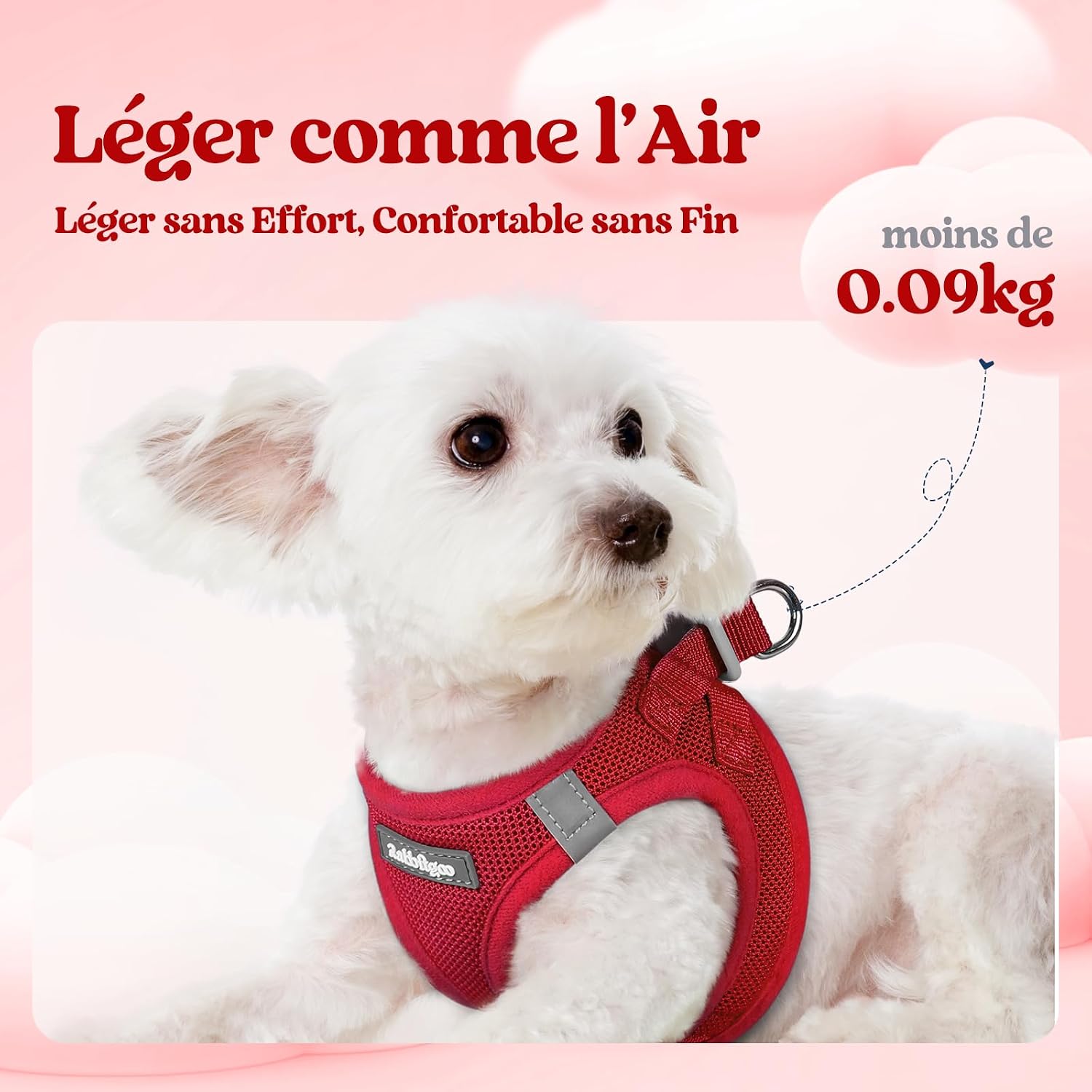 Thumbnail 2 de Harnais Chien Petite Taille avec Laisse Réfléchissant de rabbitgoo – Rouge S