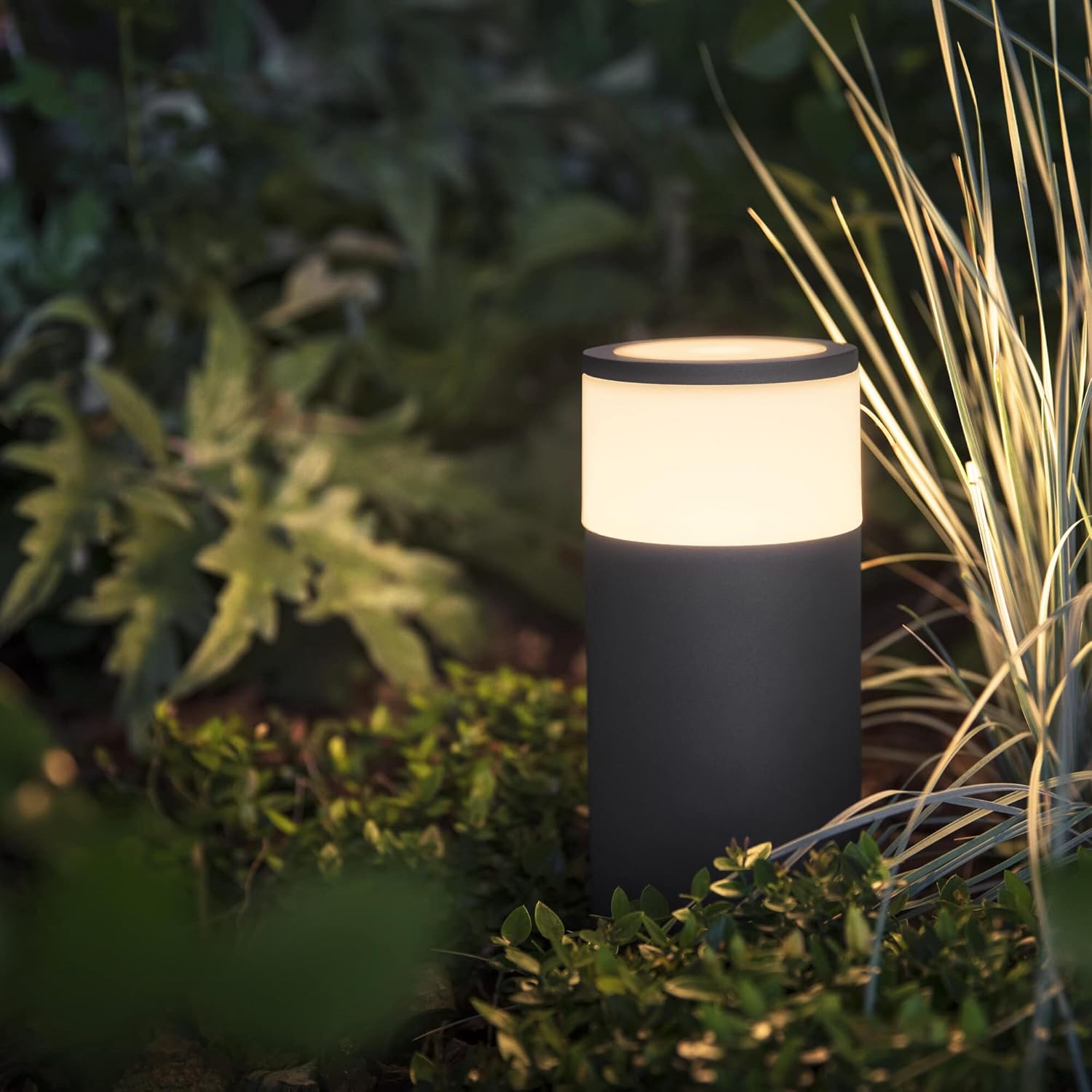 Thumbnail 5 de Philips Hue White and Color Ambiance Calla palo smart LED per esterni (IP65) da 8W, nero