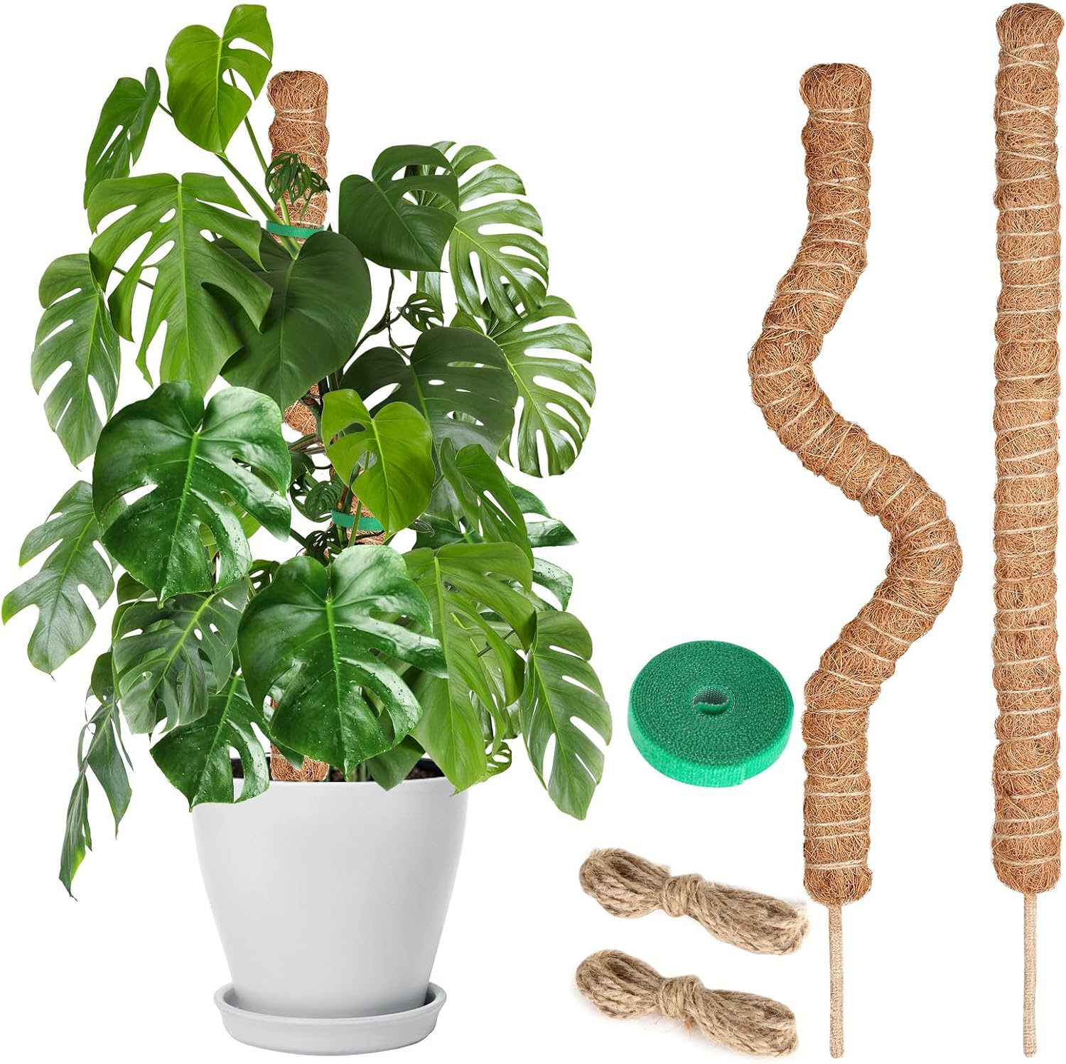 Joaercs Moss Pole 60 cm plant support for climbers