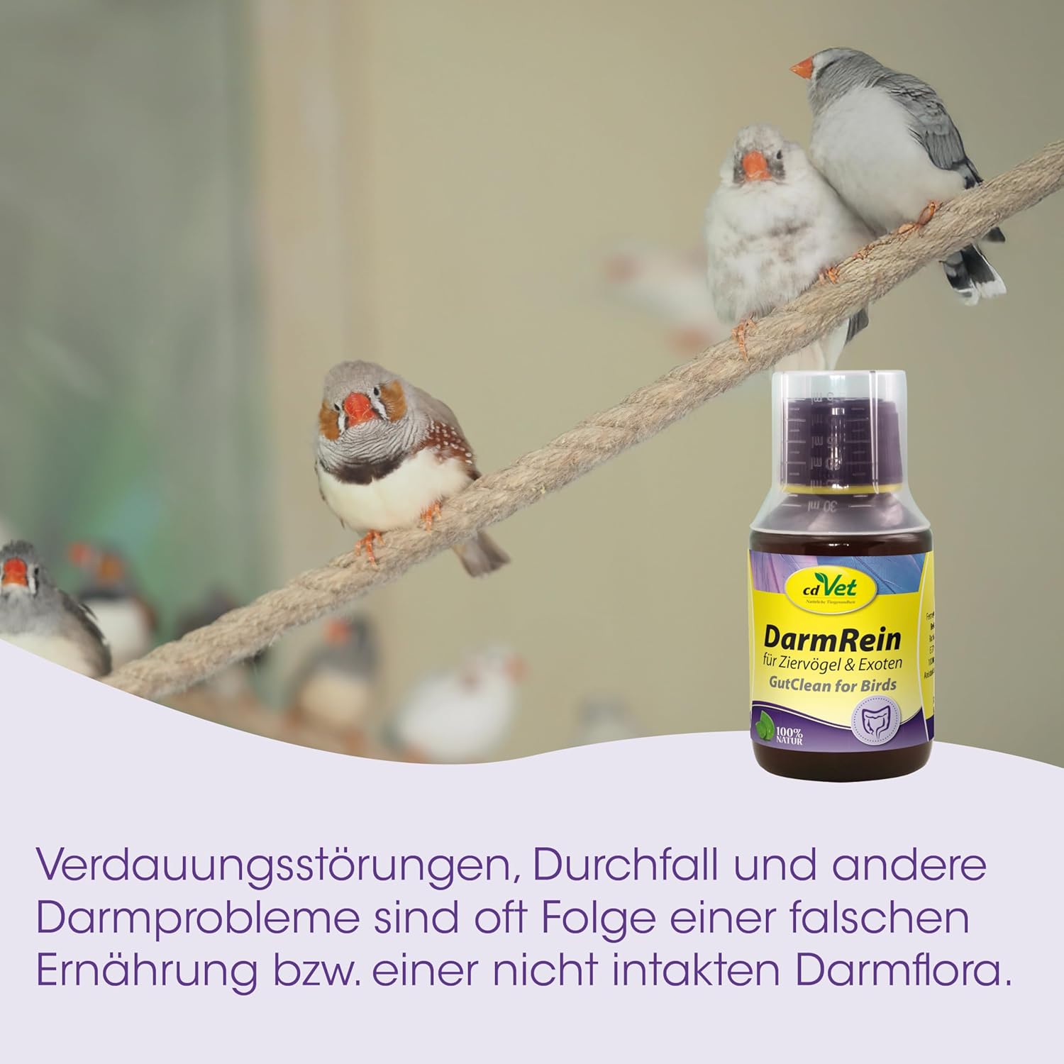 Thumbnail 6 de cdVet DarmRein 100ml – Ergänzungsfuttermittel für Ziervögel & Exoten mit natürlichen Kräuterextrakten