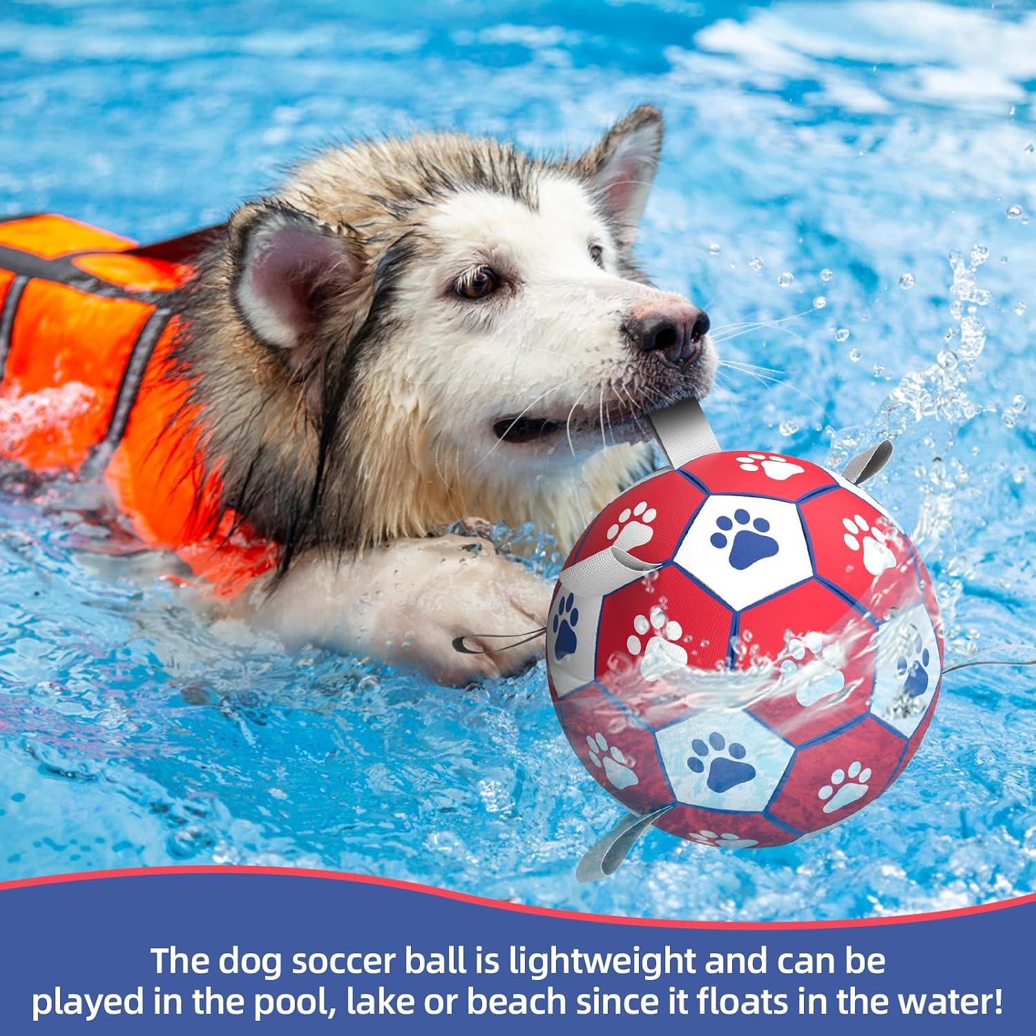 Detalle 2 de HETOO Dog Soccer Ball 8 inch