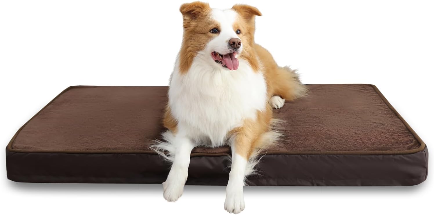 Thumbnail 6 de Jaspuriea Small Orthopedic Dog Bed with Waterproof Cover – 60x45x9cm