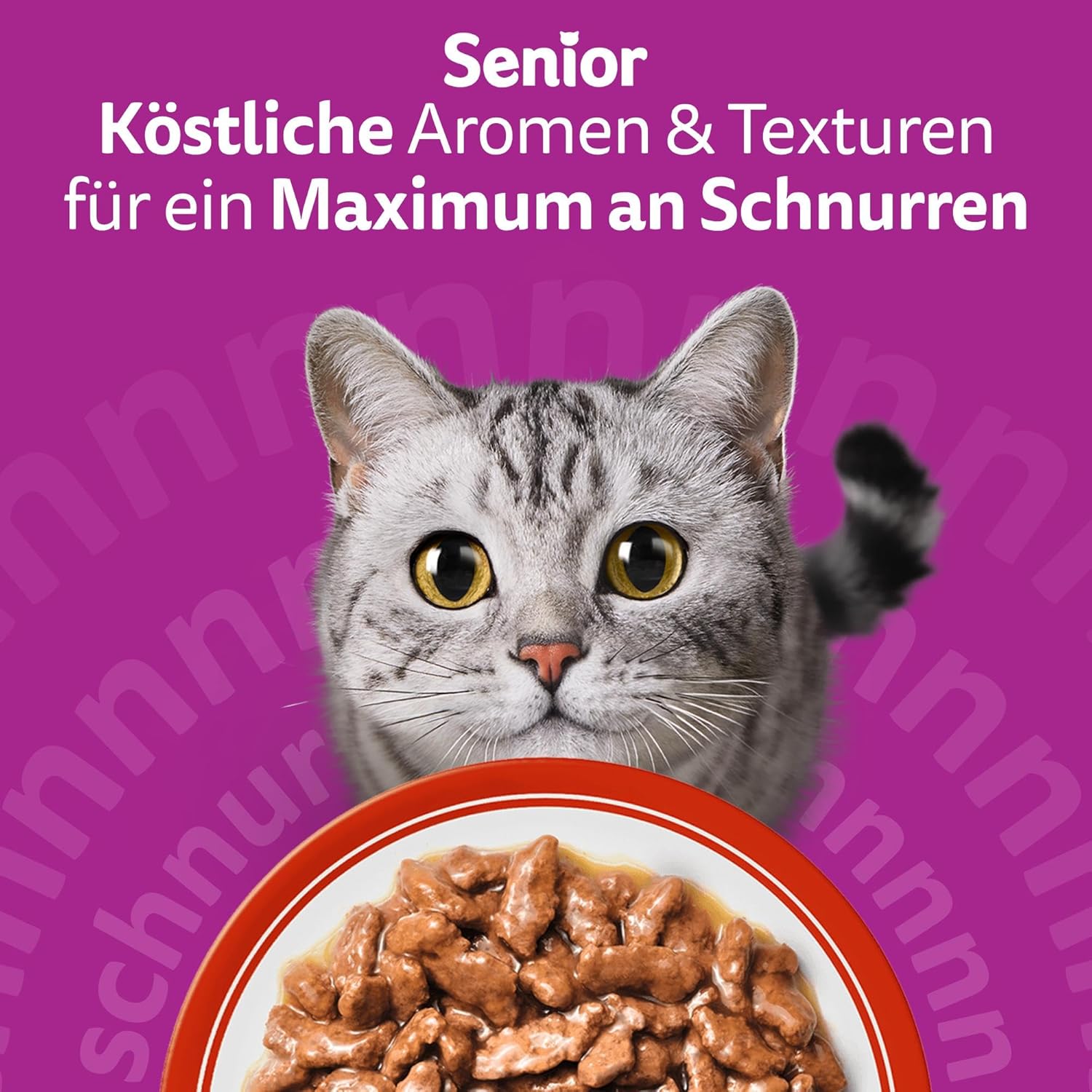 Thumbnail 6 de Whiskas 7+ Katzenfutter Klassische Auswahl in Sauce – 12x85 g (4× Pack) für Katzen ab 7 Jahren