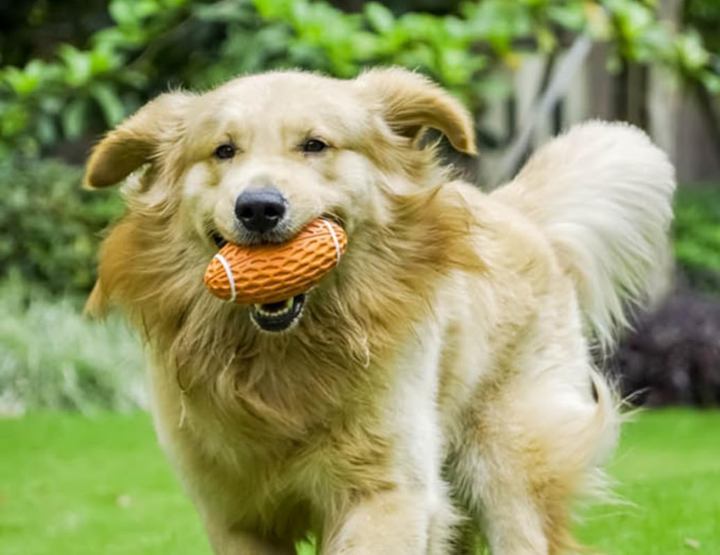 Detalle de AUSCAT Dog Rugby Ball (Orange, Large, 5.5in/14cm) with Squeaker