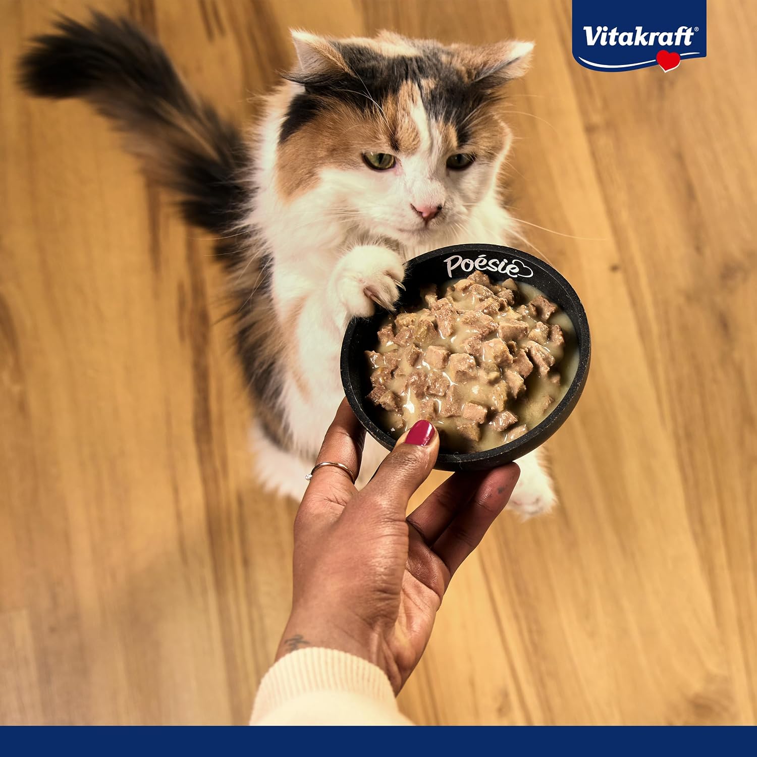 Detalle de Vitakraft Poésie Classique Vorratspackung Nassfutter Katze – Filet mit Huhn, Truthahn, Rind und Lachs (96 x 85 g)