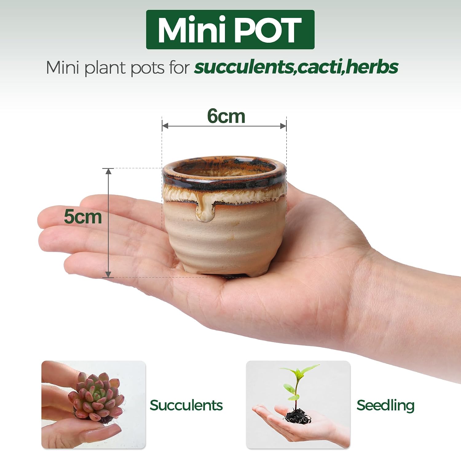 Detalle 2 de T4U Small Ceramic Succulent Pots set of 6