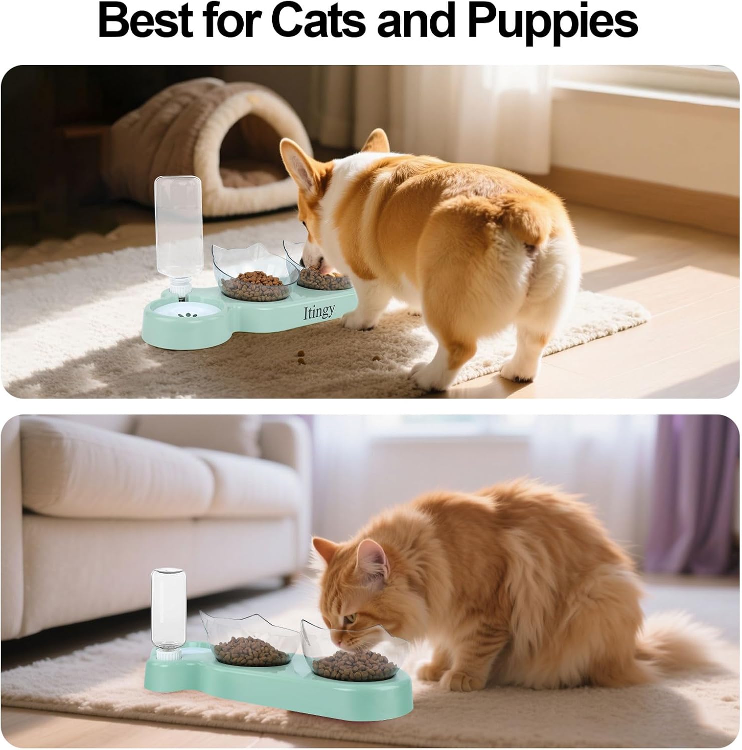 Detalle de Itingy 3-In-1 Cat Food and Water Bowl Set with Tilted Stand and 15° Design