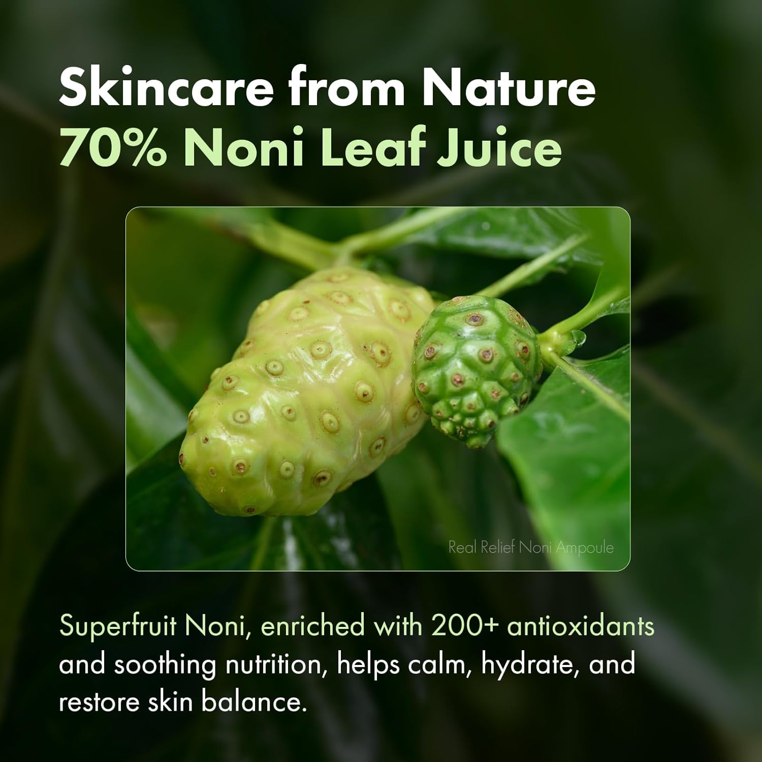 Detalle de TOSOWOONG Ampolla Real Relief Noni – 33 ml, idratante con succo di foglie di Noni al 70%