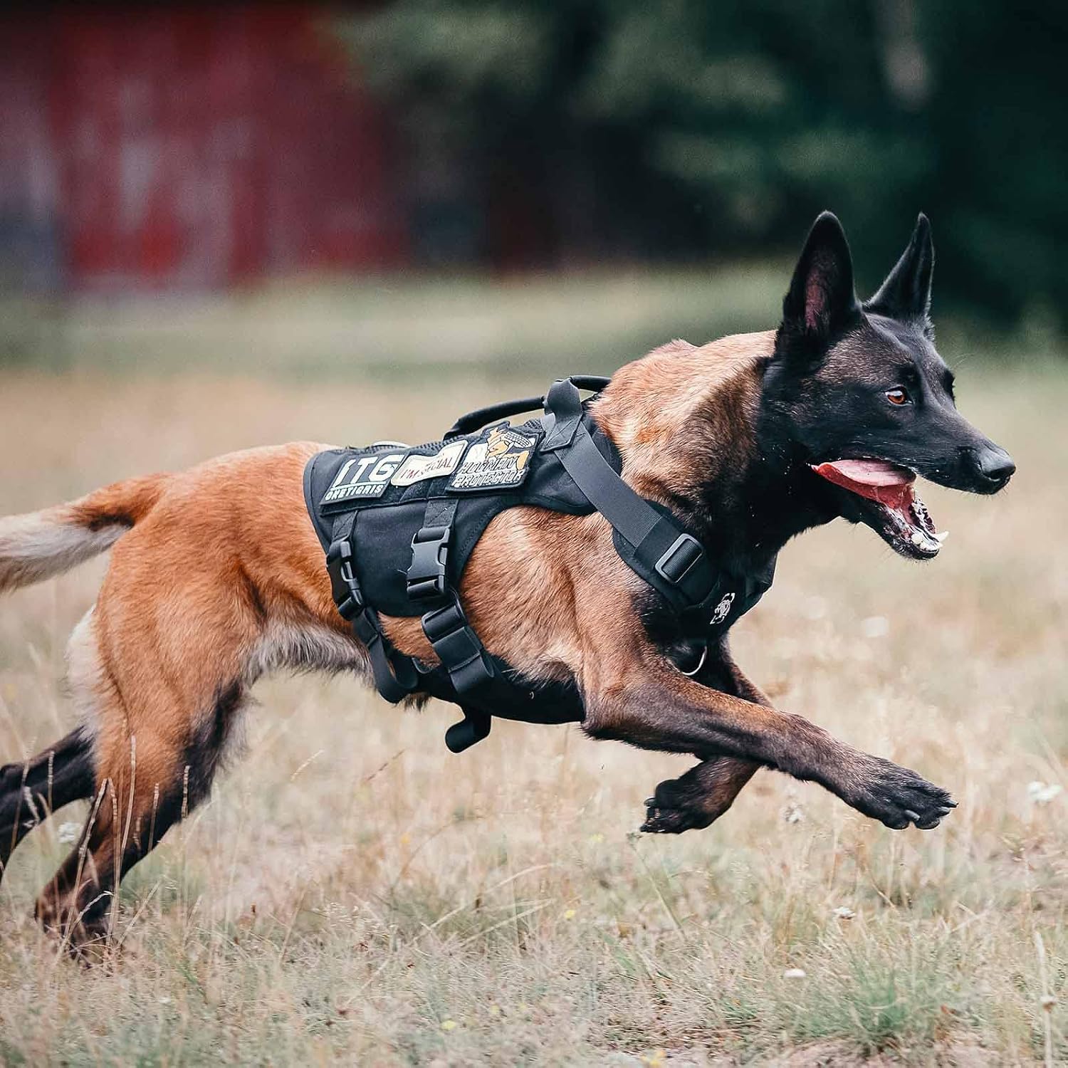 Thumbnail 6 de No Pull Tactical Dog Harness for Large Dog (OneTigris) in breathable mesh with handle & MOLLE pouches, XL, Black