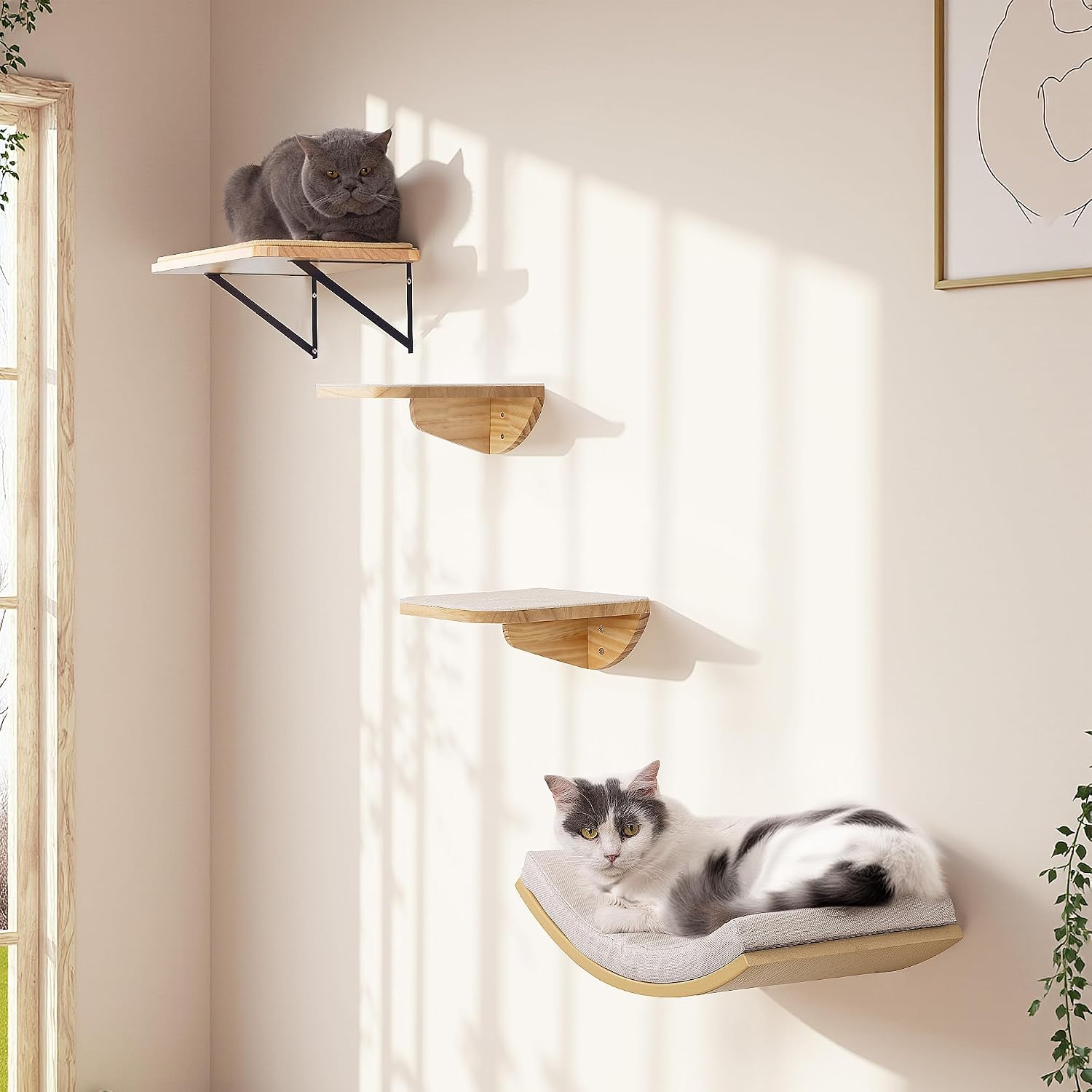 Detalle de PEL UOMOZ Cat Wall Shelves Sponge Mat