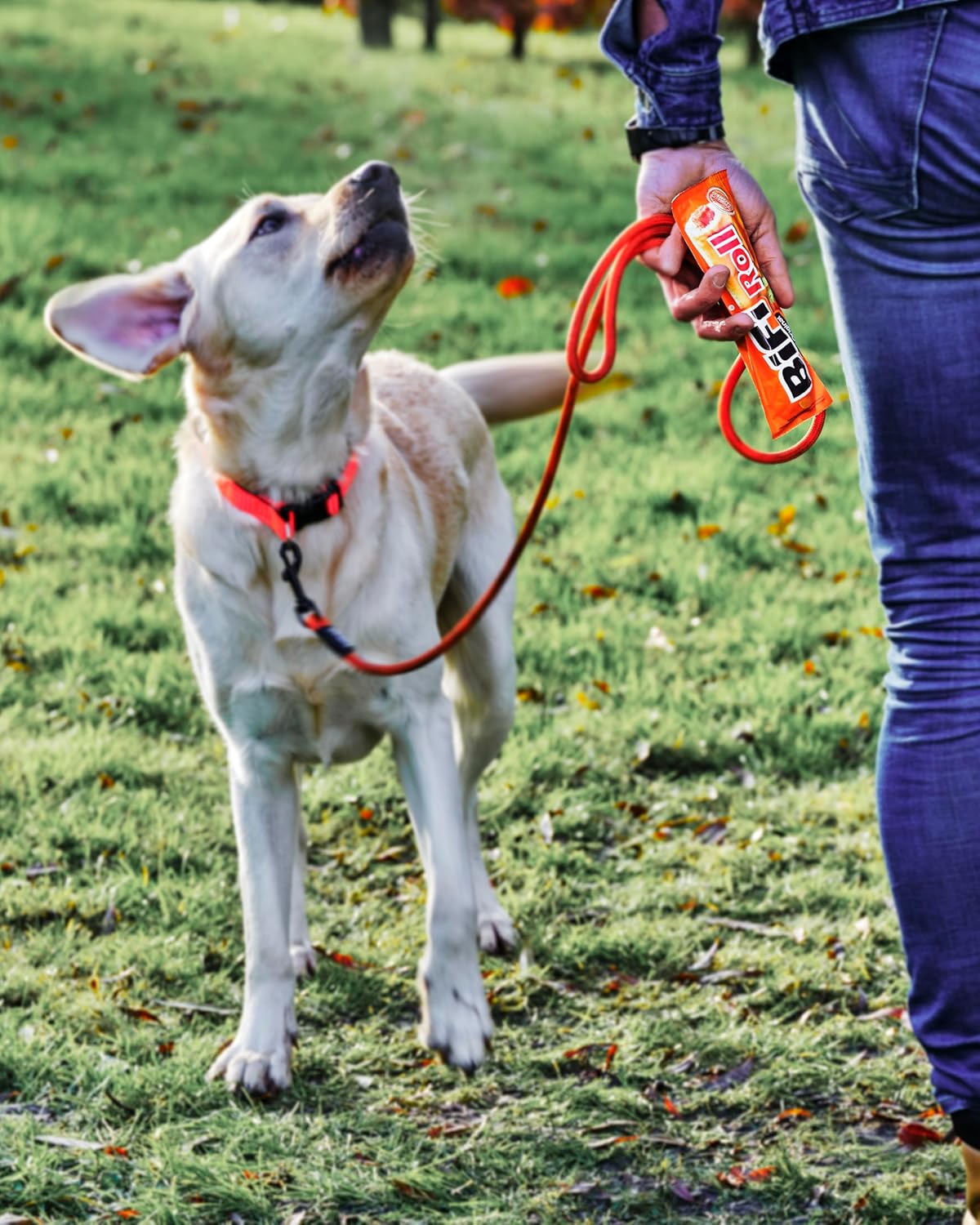 Thumbnail 9 de BiFi Roll Hot 🌶️ Pack 24 aperitivos de salami y hojaldre