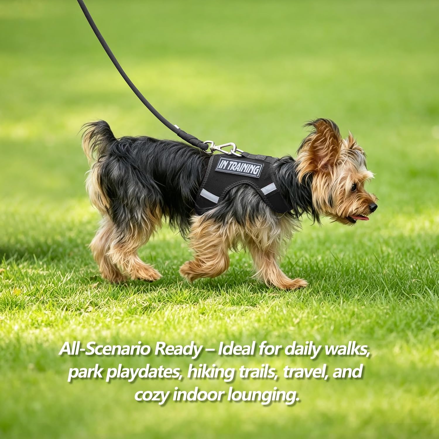 Thumbnail 6 de Sunraymascota Dog Harness, Size S
