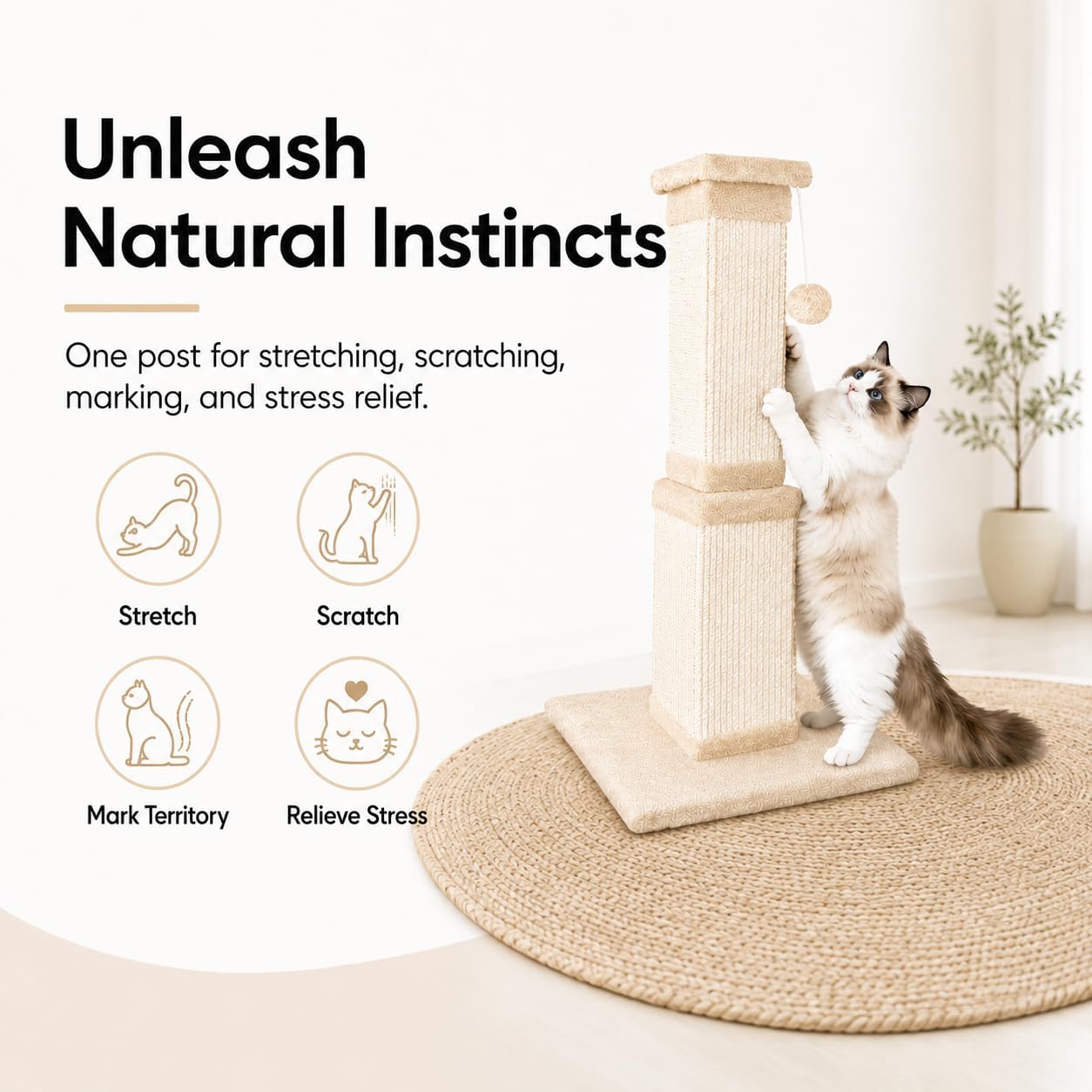 Thumbnail 4 de AGYM Cat Scratching Post for Large Cats (81cm) – Sturdy Sisal Post for Indoor Cats