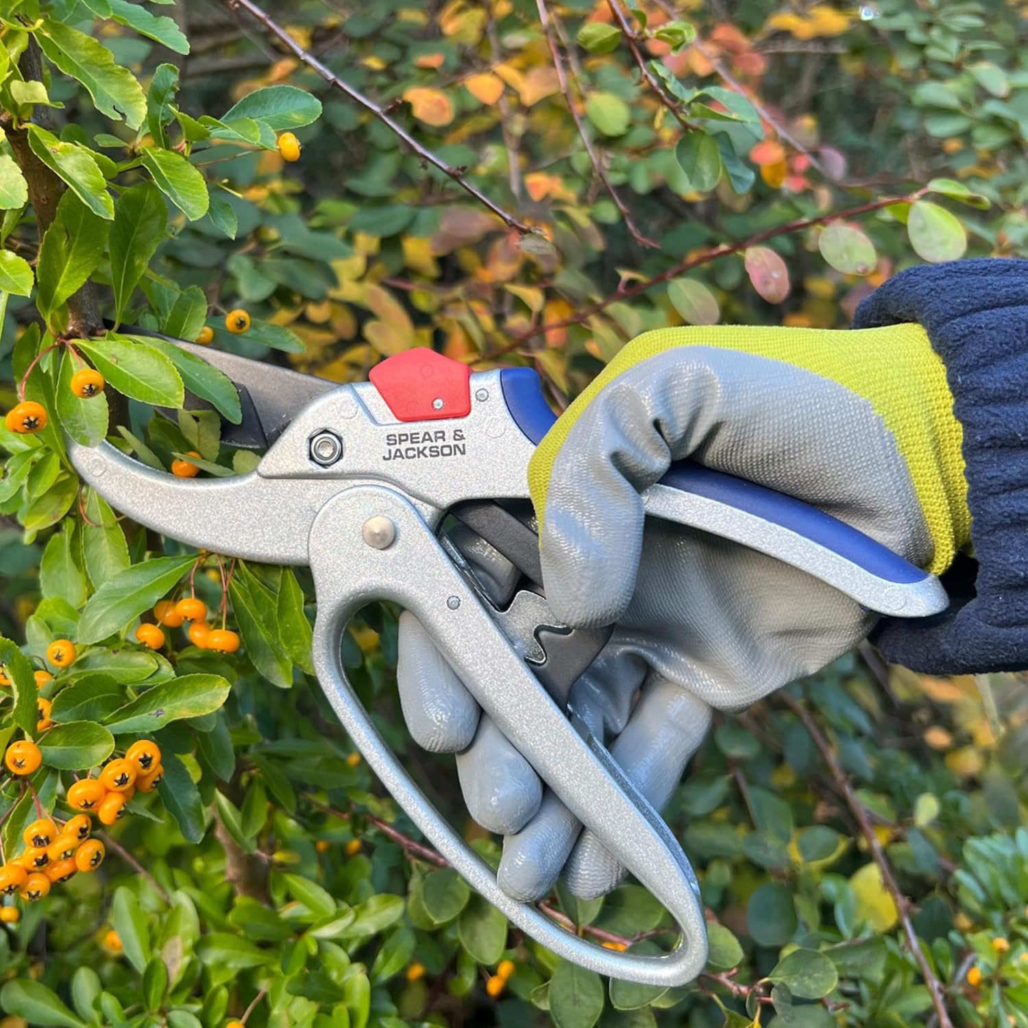 Thumbnail 3 de Spear & Jackson 6758GS Razorsharp Geared Anvil Secateurs