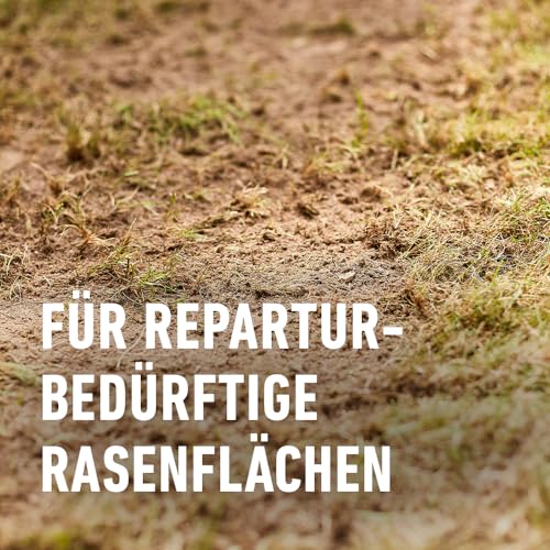 Detalle de COMPO Turbo-Nachsaat Premium Rasensamen schnellkeimend – 2,6 kg für 130 m²